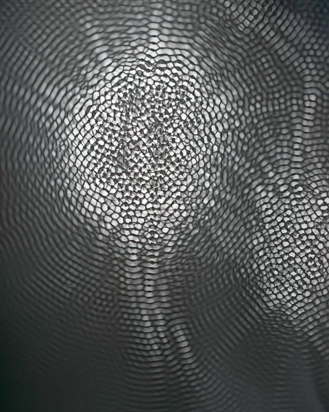 Thumbnail of p-c0rkwv3l83o-3cfe7f9fbae54194 5