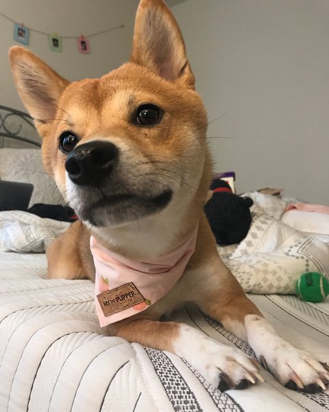 Thumbnail of p-be0th8nlcos-3d622f7c6b8843e6 0