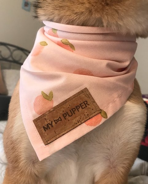 Thumbnail of p-be0th8nlcos-3d622f7c6b8843e6 1