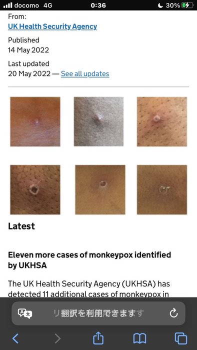 Thumbnail of www-x-com-k9fcr-status-1529279739353235457-3d7082f7e52747ee