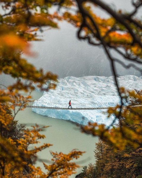 Thumbnail of p-cal32kndnuq-3d81416ac9164be3 0