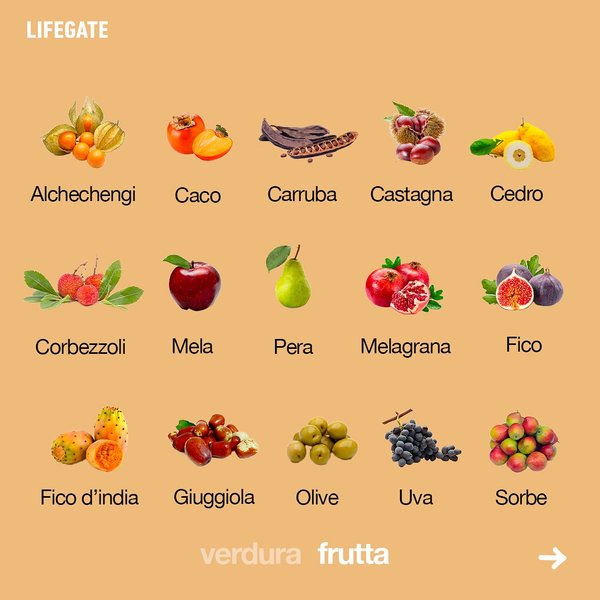 Thumbnail of p-cx3ln1wkhjg-3d91c290a95e4f72 3