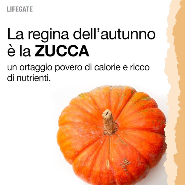 Thumbnail of p-cx3ln1wkhjg-3d91c290a95e4f72 4