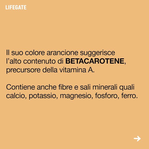 Thumbnail of p-cx3ln1wkhjg-3d91c290a95e4f72 5