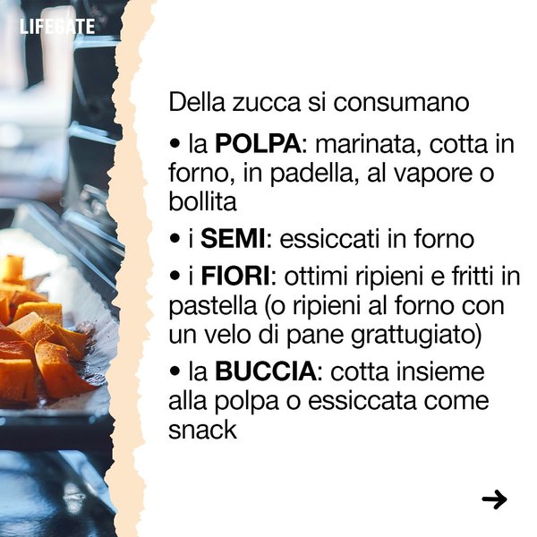 Thumbnail of p-cx3ln1wkhjg-3d91c290a95e4f72 7