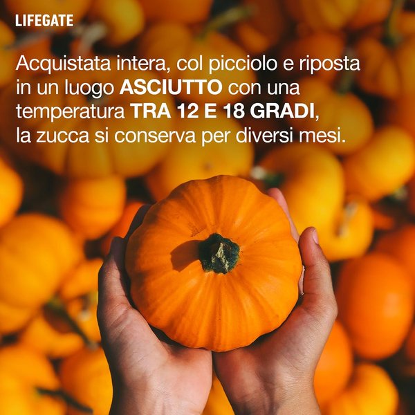 Thumbnail of p-cx3ln1wkhjg-3d91c290a95e4f72 9