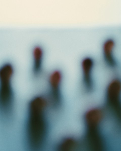 Thumbnail of p-cftuigaryfl-3d9fc0b19c5b4a01 0