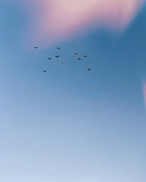 Thumbnail of p-cftuigaryfl-3d9fc0b19c5b4a01 1