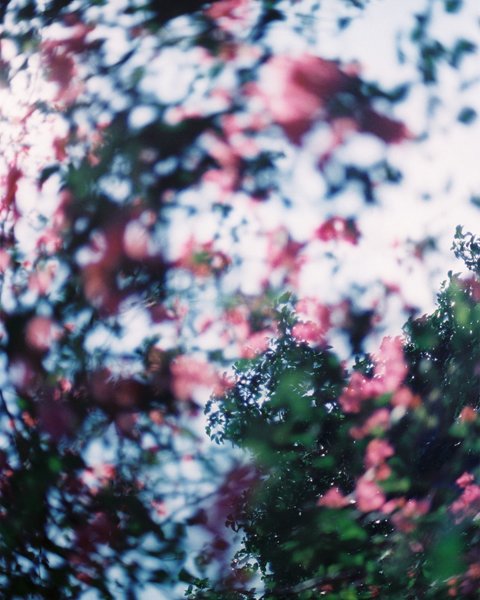 Thumbnail of p-cftuigaryfl-3d9fc0b19c5b4a01 3