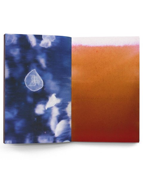 Thumbnail of p-cftuigaryfl-3d9fc0b19c5b4a01 6