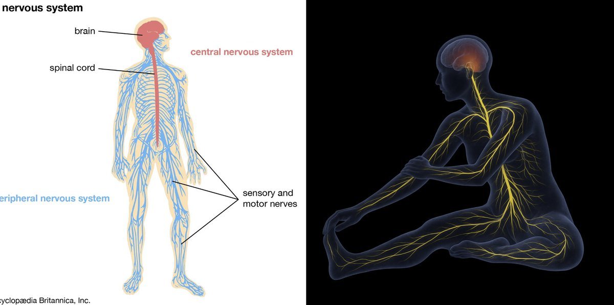 Thumbnail of www-x-com-thebendapp-status-1920848758440685591-3dab94cdf1d24343
