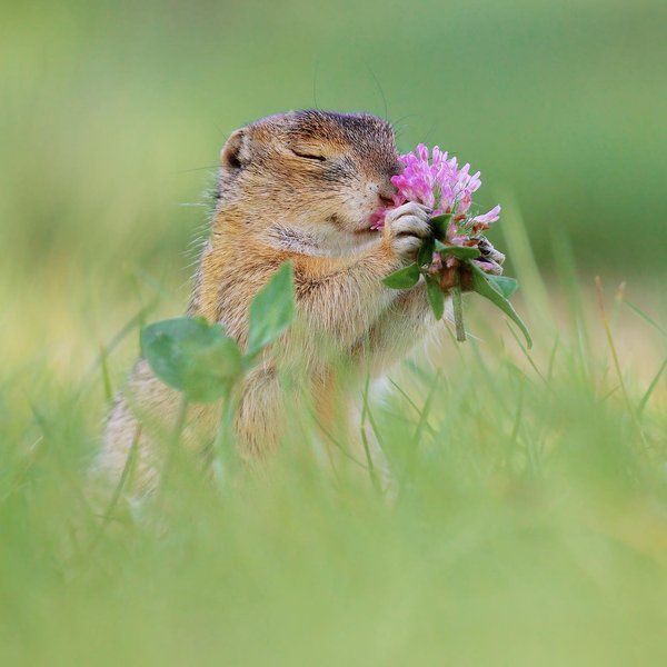 Thumbnail of p-csvfyeoq1tb-3dacc3c9d0154b79 1