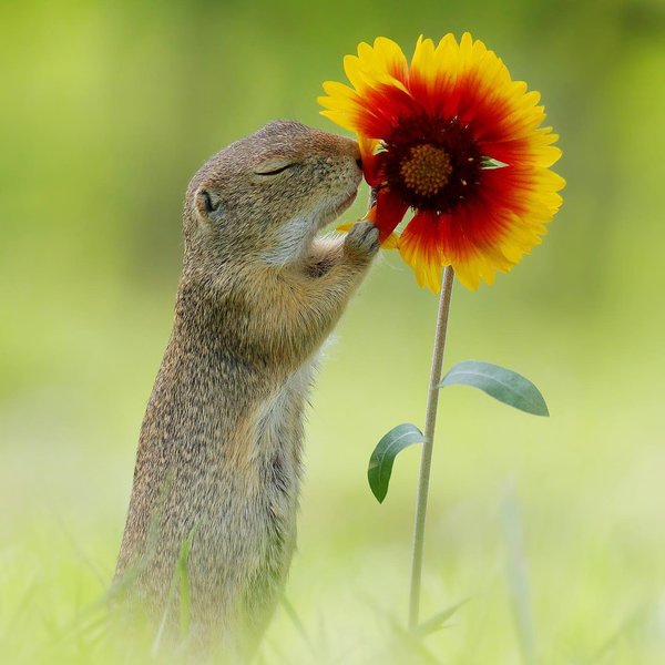 Thumbnail of p-csvfyeoq1tb-3dacc3c9d0154b79 3