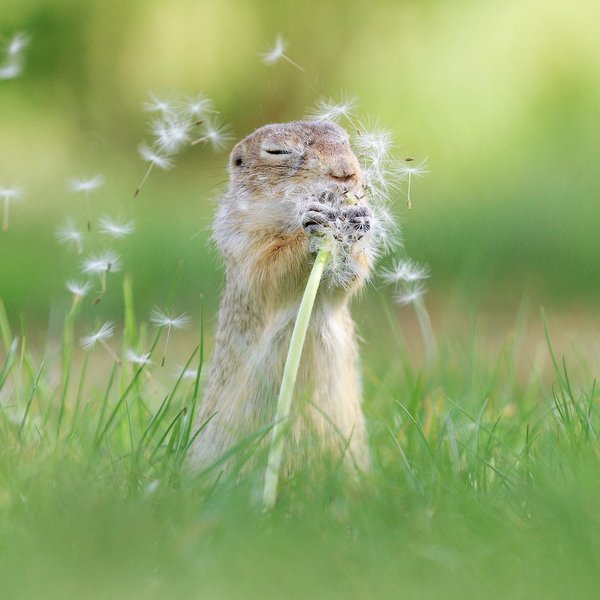 Thumbnail of p-csvfyeoq1tb-3dacc3c9d0154b79 4