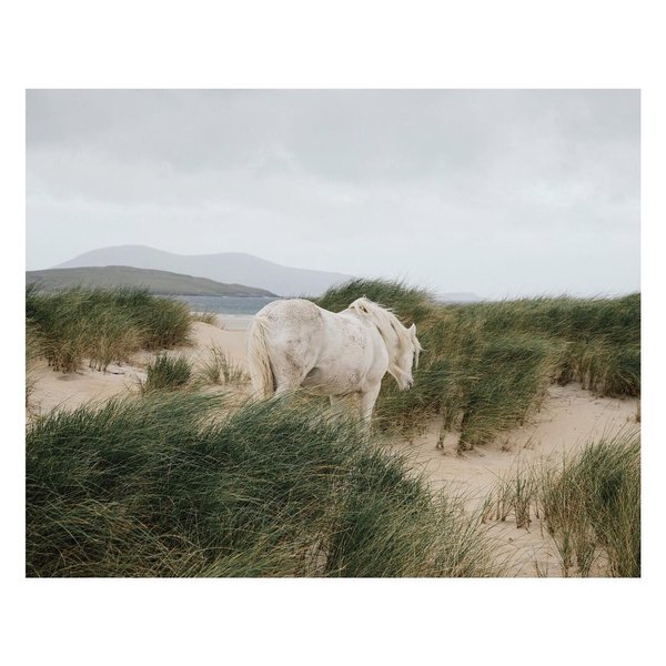 Thumbnail of bgx47-sbtt8-3df578544784401b 0