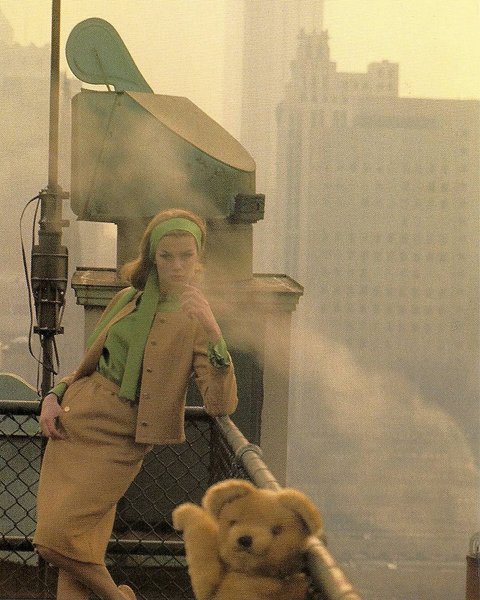 Thumbnail of p-dgd5deou9cj-3e21797f5eac42eb 3