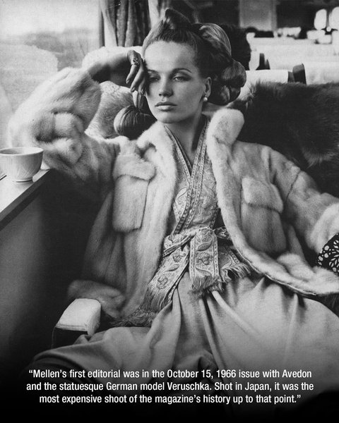 Thumbnail of p-dgd5deou9cj-3e21797f5eac42eb 4