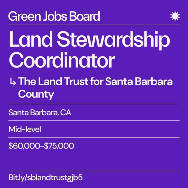 Thumbnail of p-cuhotfvmhzu-3e28732b55ee494a 0