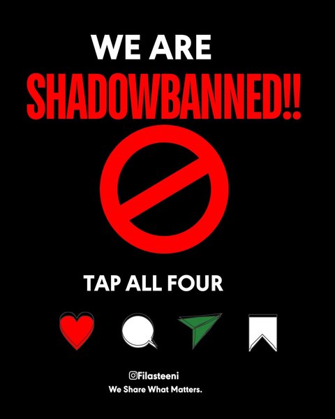 Thumbnail of p-dapwsytppp7-3e2bfb22d7704c3a 0