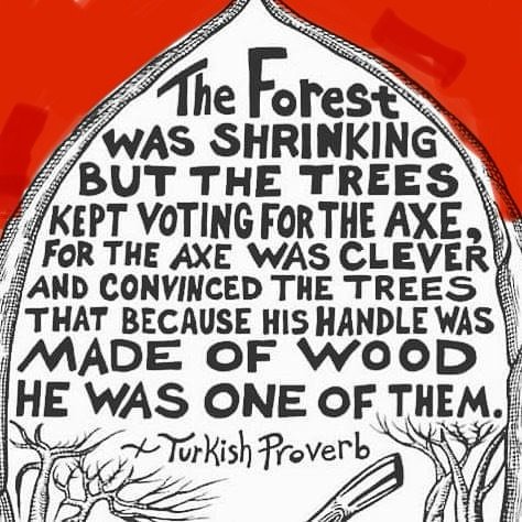 Thumbnail of p-dcerbsvjkoz-3e707cb475e147aa 0