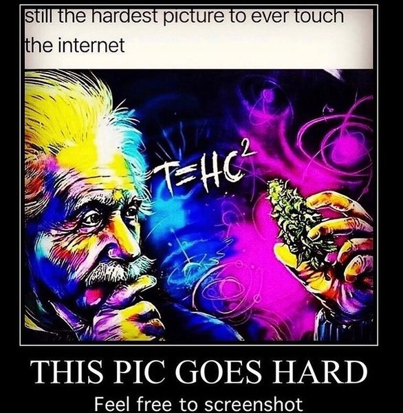 Thumbnail of p-cunm3mcrian-3e984a44ef7a4fff 0