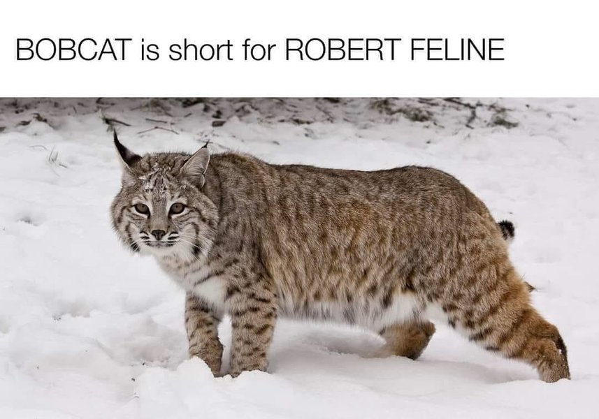 Thumbnail of p-c0zelhprowr-3ec85efc6c8144cd 0