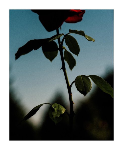 Thumbnail of p-cusbkfilc2v-3f4866aca35a45d7 0