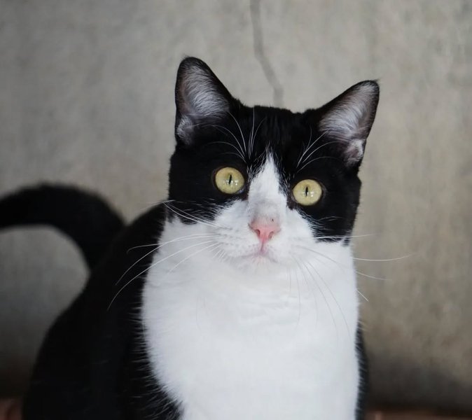 Thumbnail of p-cmgisq3mt4v-3f49937580dc4f7e 0