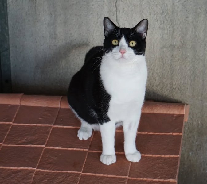 Thumbnail of p-cmgisq3mt4v-3f49937580dc4f7e 1