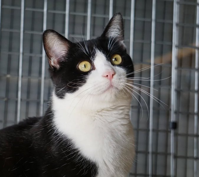 Thumbnail of p-cmgisq3mt4v-3f49937580dc4f7e 2