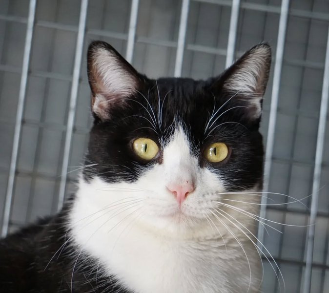 Thumbnail of p-cmgisq3mt4v-3f49937580dc4f7e 3