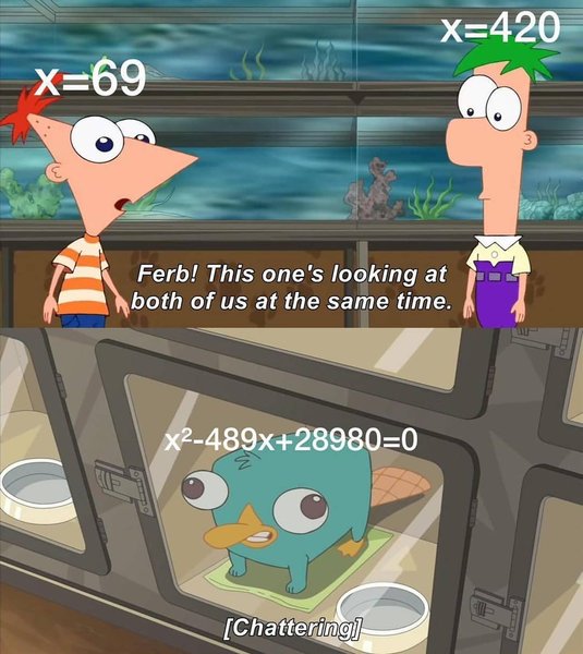 Thumbnail of b-fj3q8jgpr-3f4bf9a4b93d4add 0