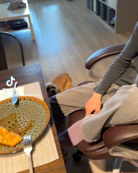 Thumbnail of p-dinjo2uxzs-3f5f2480732844a9 11