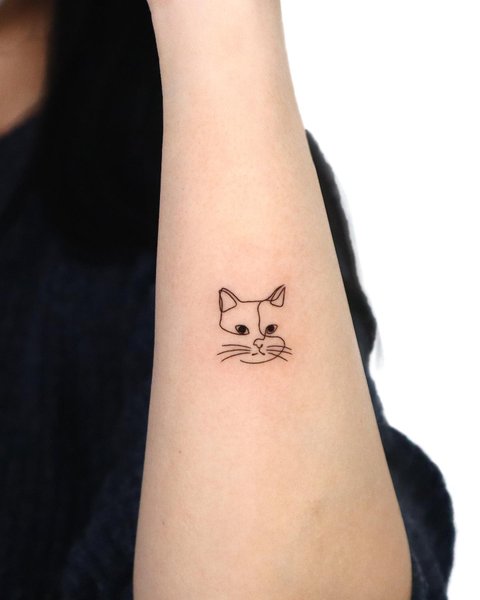 Thumbnail of p-czcgq7qjbkn-3fb7852beb6d4e16 0