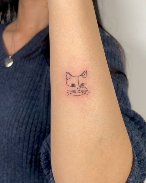 Thumbnail of p-czcgq7qjbkn-3fb7852beb6d4e16 1