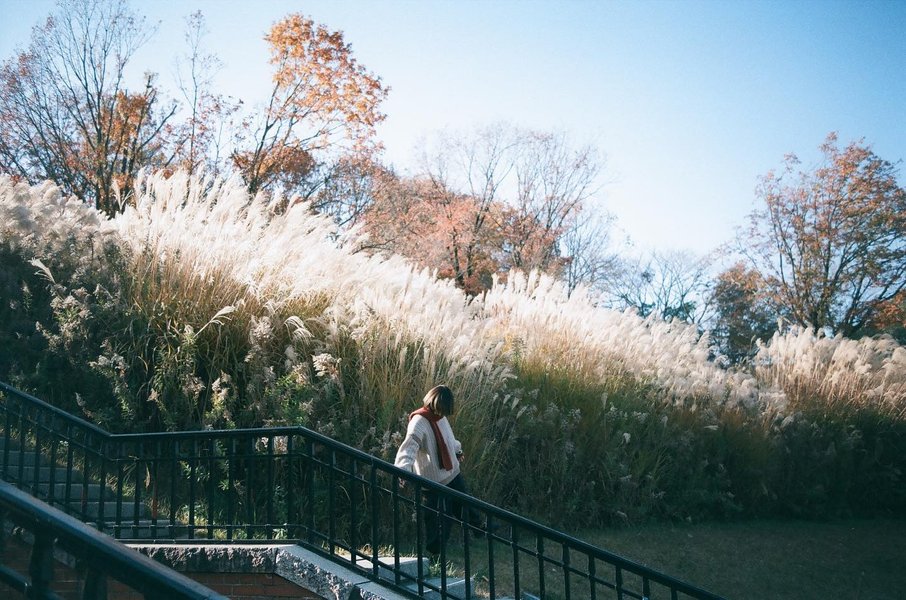 Thumbnail of p-c1zncmsvmbw-3fc9180f38cc48d7 0