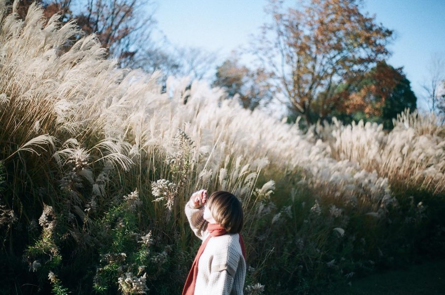 Thumbnail of p-c1zncmsvmbw-3fc9180f38cc48d7 1