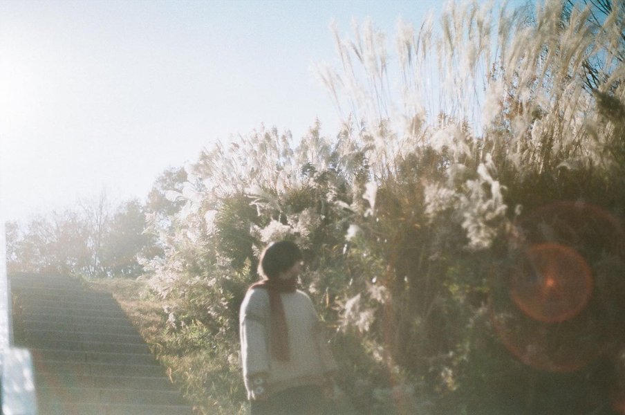 Thumbnail of p-c1zncmsvmbw-3fc9180f38cc48d7 2