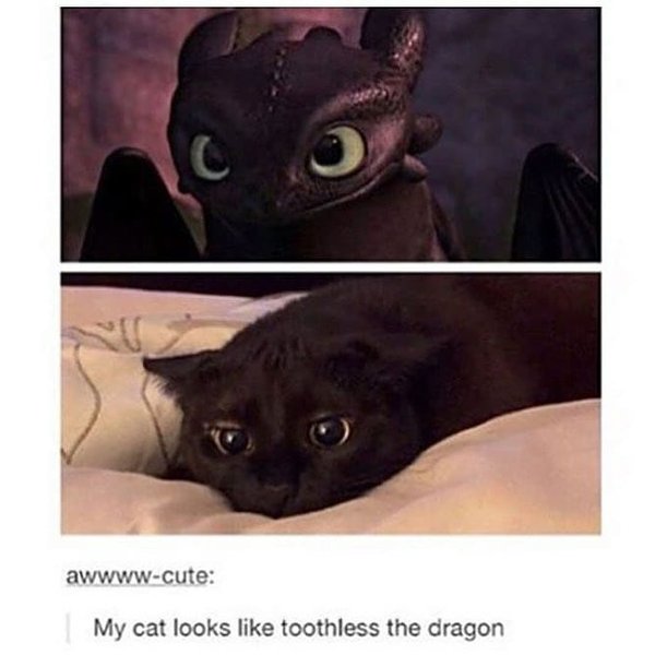 Thumbnail of b6s1-wynn4b-3fdebb90d541474e 0