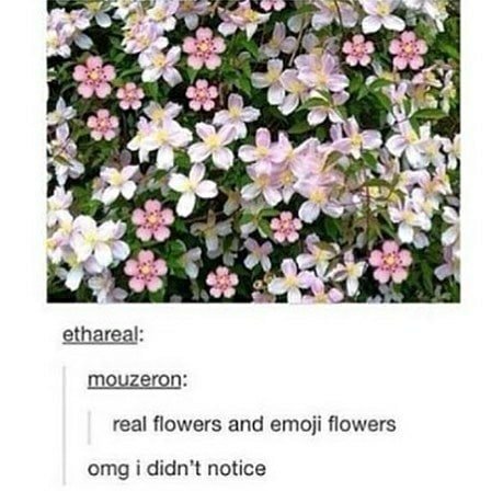 Thumbnail of b6s1-wynn4b-3fdebb90d541474e 3