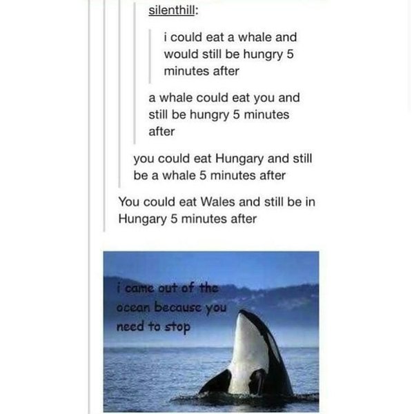 Thumbnail of b6s1-wynn4b-3fdebb90d541474e 6