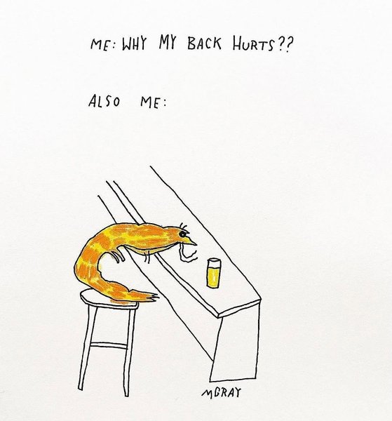 Thumbnail of www-instagram-com-p-drqj6wcdu8p-img-index-1 10