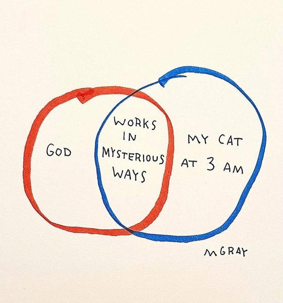 Thumbnail of www-instagram-com-p-drqj6wcdu8p-img-index-1 5