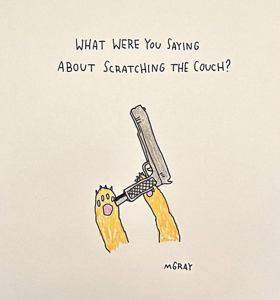 Thumbnail of www-instagram-com-p-drqj6wcdu8p-img-index-1 7