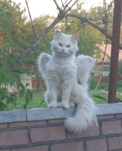 Thumbnail of p-cihits7u3yd-3fec6e7206054dbb 2