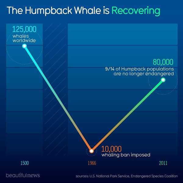 Thumbnail of b-ffsqsb2pb-3ff34efc6f0c40ab 2