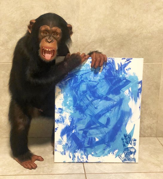 Thumbnail of p-b2hqlo1jxoh-40106975db4b482d 0