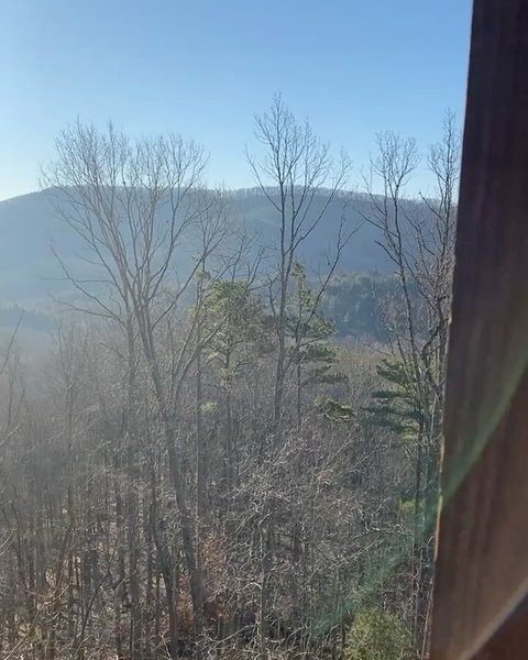 Thumbnail of p-co2wdv1uic-408f9e1a5e1d4805 6