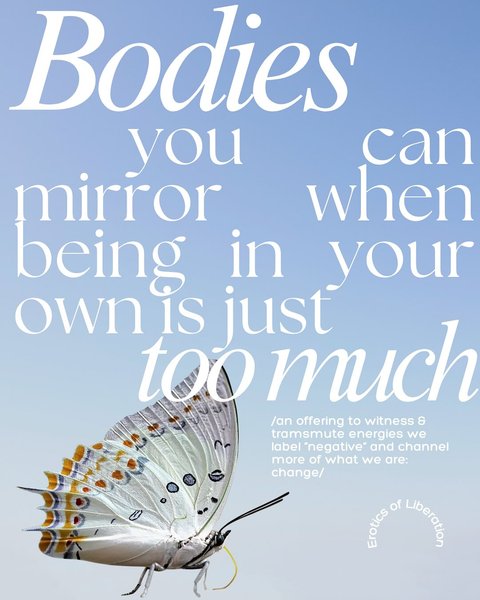 Thumbnail of p-dglgs6wsssc-40a1643a84a64675 0