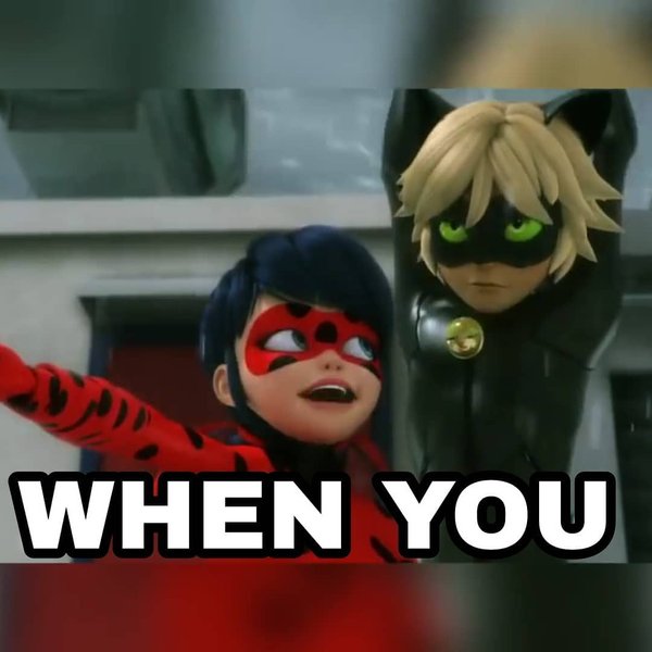 Thumbnail of p-bmevc8undok-40a9274241ed460c 3